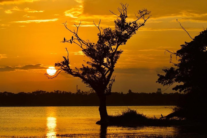 Hikkaduwa Day Excursion  - Photo 1 of 7